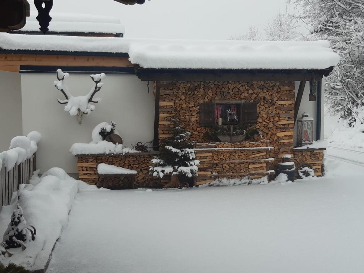 Haus Wildschuetz Daire Hippach Dış mekan fotoğraf